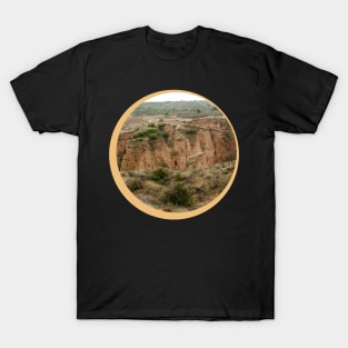 Beauty of mother earth T-Shirt